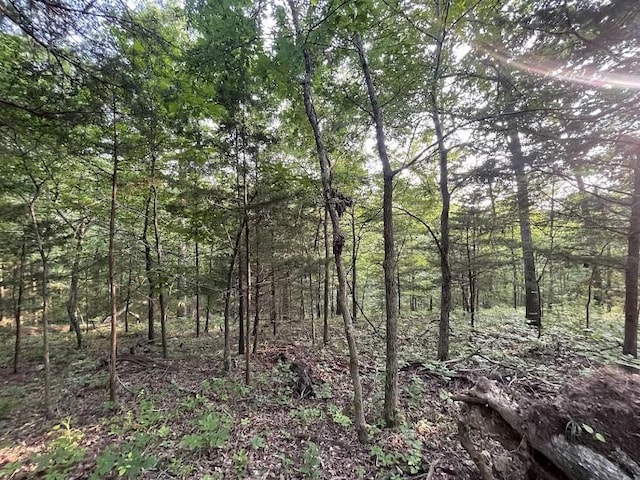 12812 Parker Branch Rd, West Fork, AR 72774