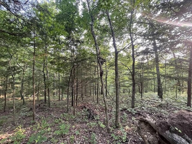 12812 Parker Branch Rd, West Fork, AR 72774 - photo 38