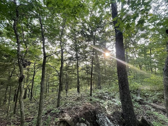 12812 Parker Branch Rd, West Fork, AR 72774