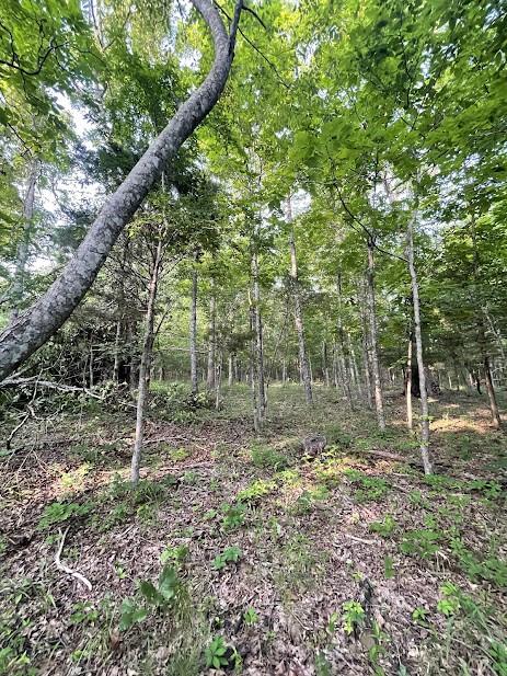 12812 Parker Branch Rd, West Fork, AR 72774 - photo 43