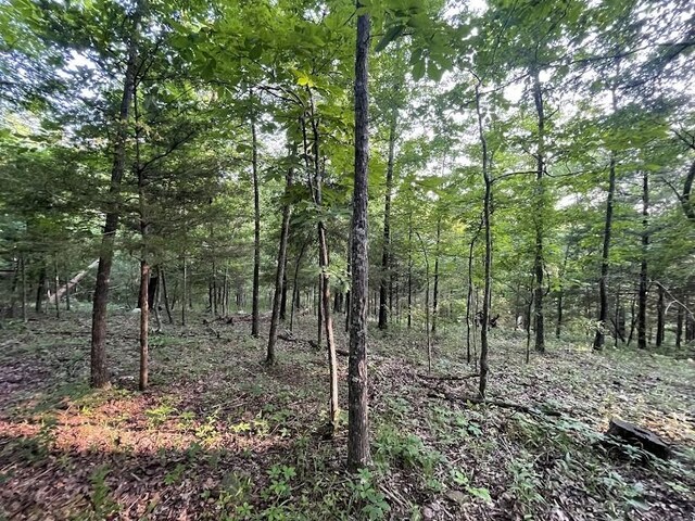 12812 Parker Branch Rd, West Fork, AR 72774 - photo 23