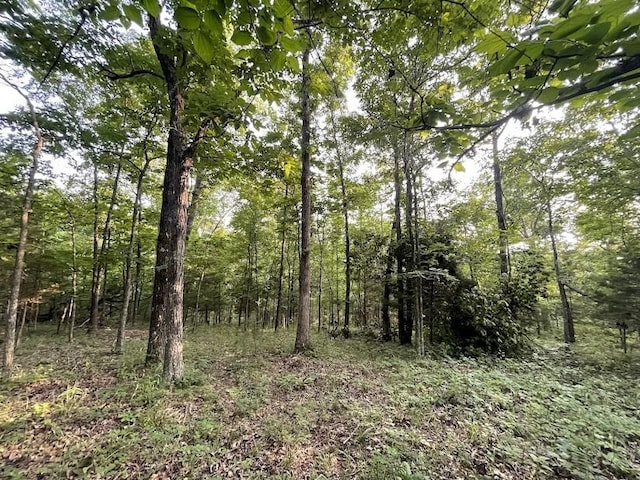12812 Parker Branch Rd, West Fork, AR 72774