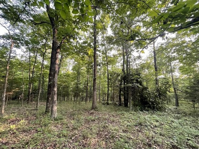 12812 Parker Branch Rd, West Fork, AR 72774 - photo 24