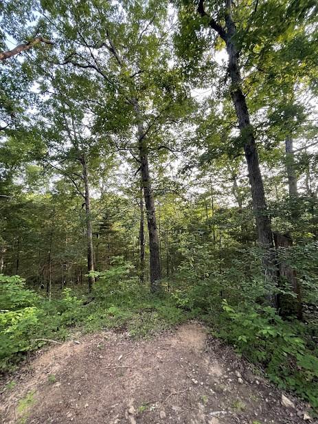 12812 Parker Branch Rd, West Fork, AR 72774