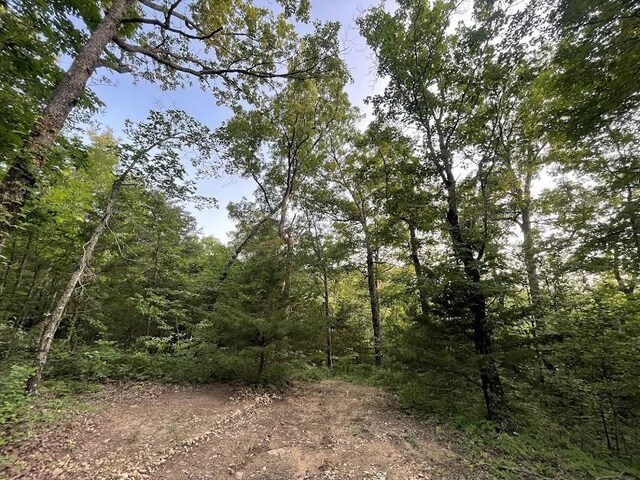 12812 Parker Branch Rd, West Fork, AR 72774 - photo 18