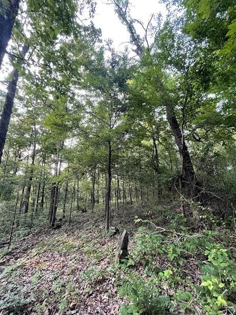 12812 Parker Branch Rd, West Fork, AR 72774