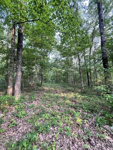 12812 Parker Branch Rd, West Fork, AR 72774