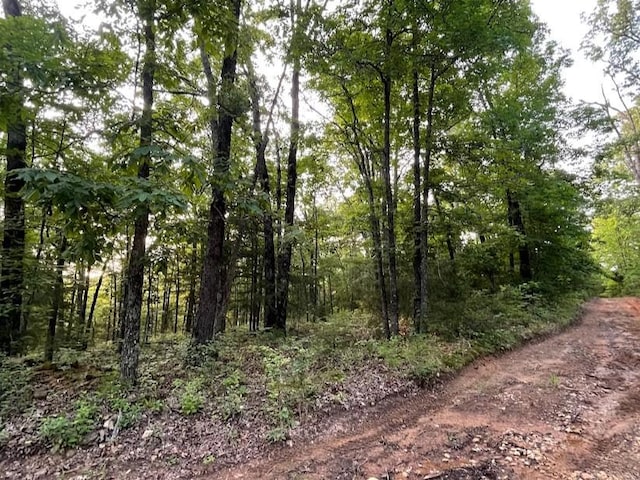 12812 Parker Branch Rd, West Fork, AR 72774