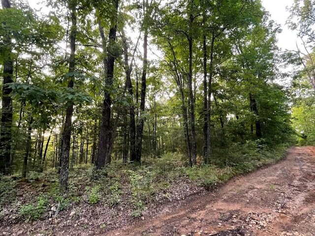 12812 Parker Branch Rd, West Fork, AR 72774 - photo 17