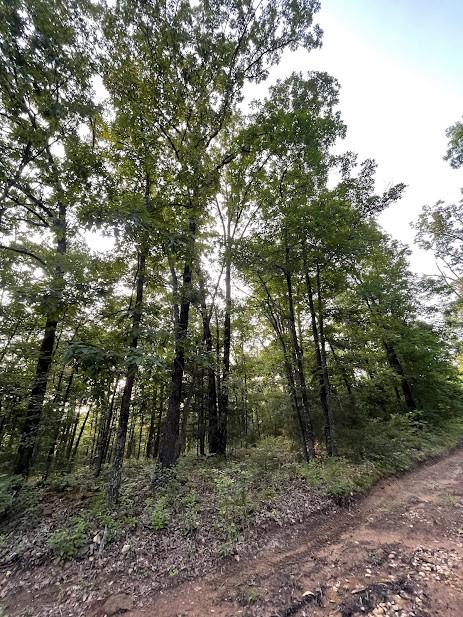 12812 Parker Branch Rd, West Fork, AR 72774 - photo 7