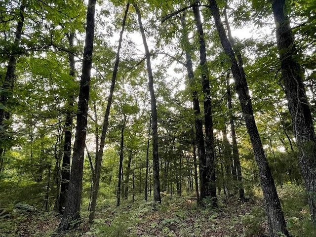 12812 Parker Branch Rd, West Fork, AR 72774