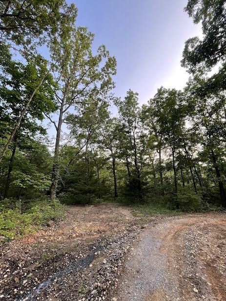 12812 Parker Branch Rd, West Fork, AR 72774
