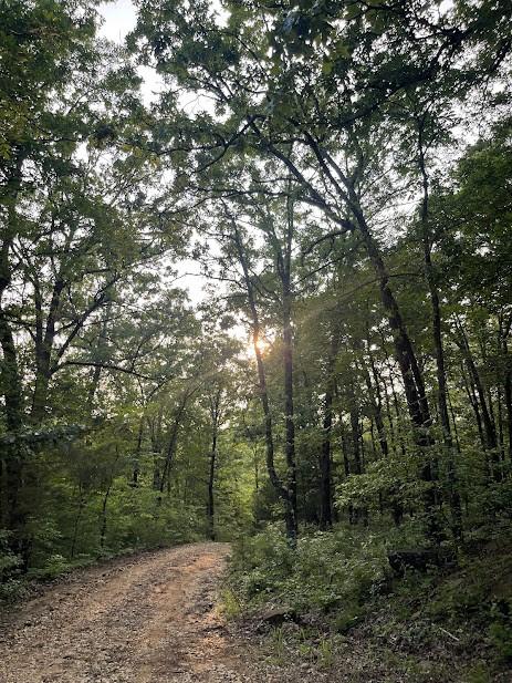 12812 Parker Branch Rd, West Fork, AR 72774