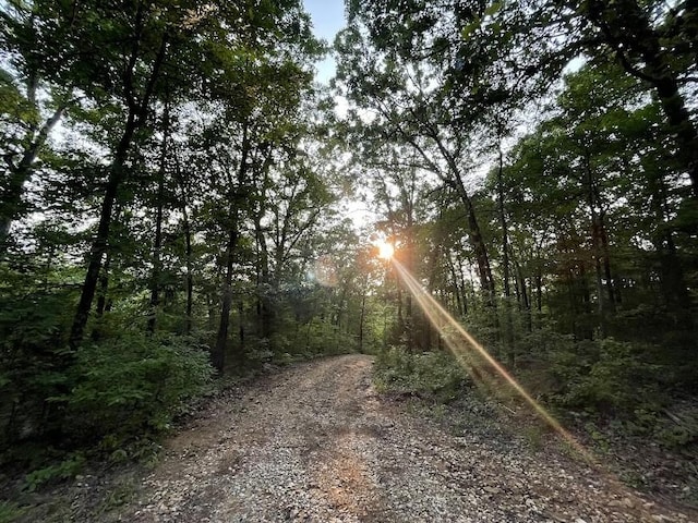 12812 Parker Branch Rd, West Fork, AR 72774