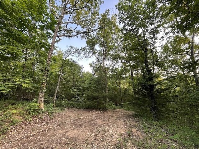 12812 Parker Branch Rd, West Fork, AR 72774 - photo 14