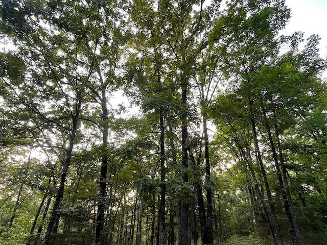 12812 Parker Branch Rd, West Fork, AR 72774