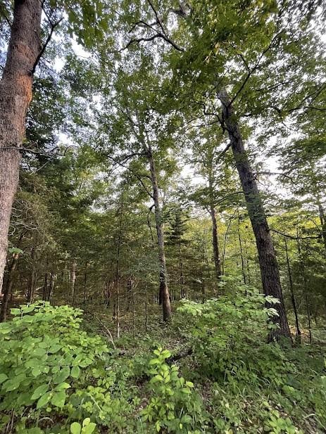 12812 Parker Branch Rd, West Fork, AR 72774