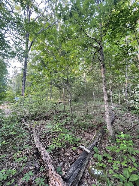 12812 Parker Branch Rd, West Fork, AR 72774 - photo 19