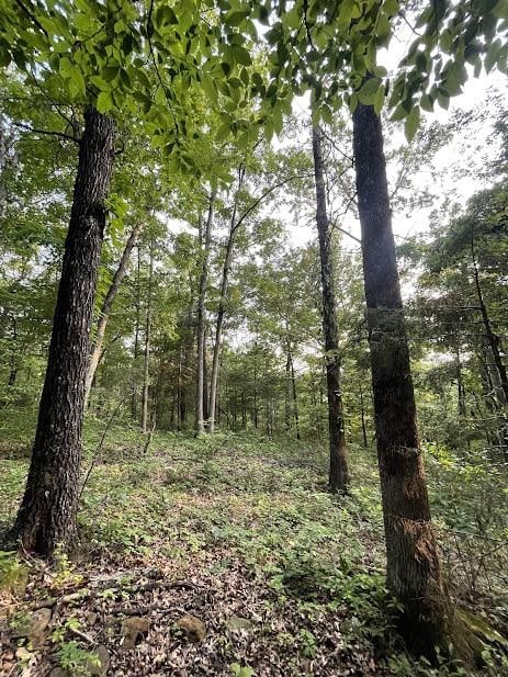 12812 Parker Branch Rd, West Fork, AR 72774