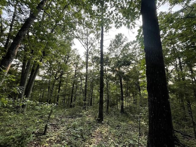 12812 Parker Branch Rd, West Fork, AR 72774 - photo 5