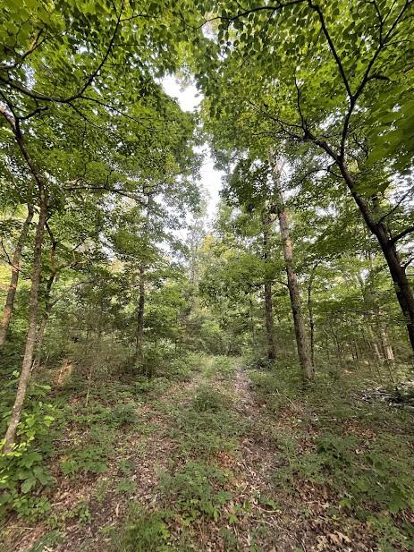 12812 Parker Branch Rd, West Fork, AR 72774