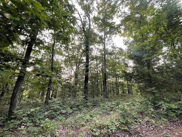 12812 Parker Branch Rd, West Fork, AR 72774