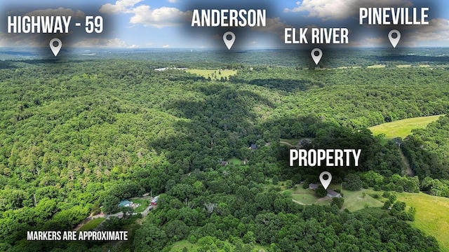1188 Kyle Rd, Noel, MO 64854 - drone / aerial view of a heavily wooded area