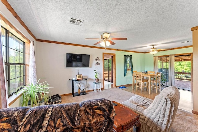 1188 Kyle Rd, Noel, MO 64854 - living area with a ceiling fan, a textured ceiling, baseboards, and crown molding