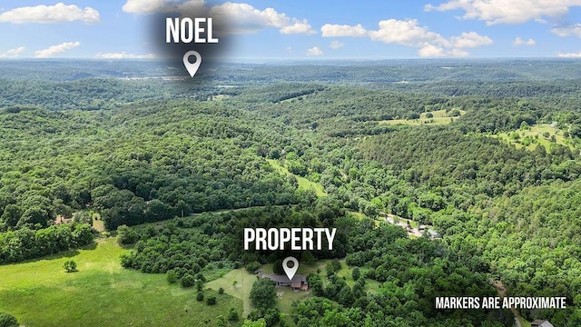 1188 Kyle Rd, Noel, MO 64854 - drone / aerial view of a heavily wooded area