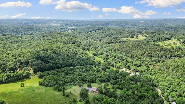 1188 Kyle Rd, Noel, MO 64854 - aerial view of a forest