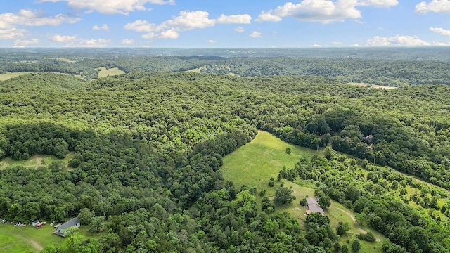 1188 Kyle Rd, Noel, MO 64854 - aerial view of a forest