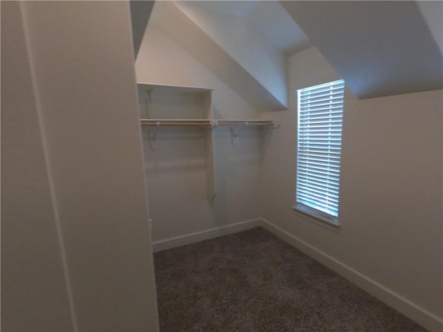 4278 Bronco Dr, Fayetteville, AR 72704 - photo 7