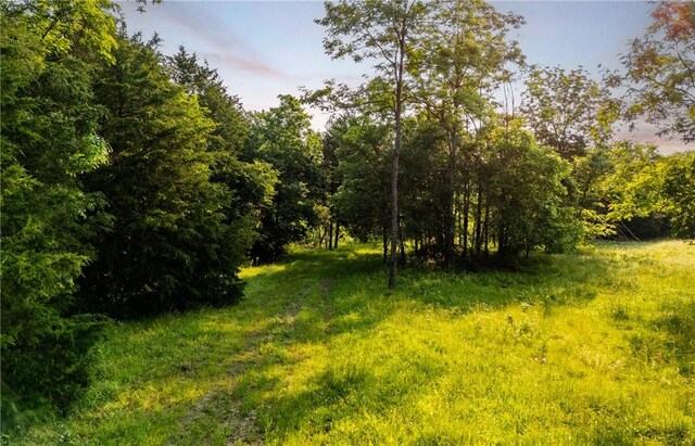 37AC Madison 3370, Witter, AR 72776 - photo 5