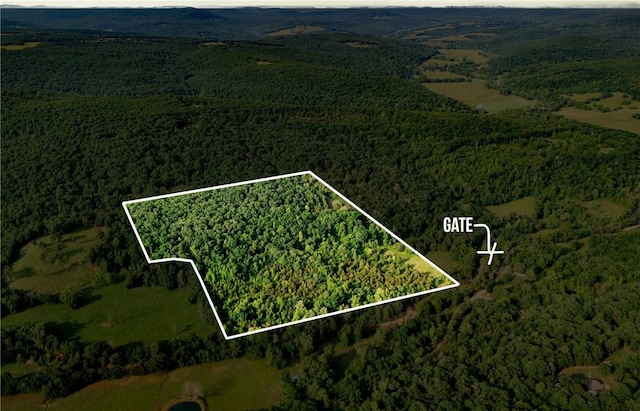 37AC Madison 3370, Witter, AR 72776 - photo 1