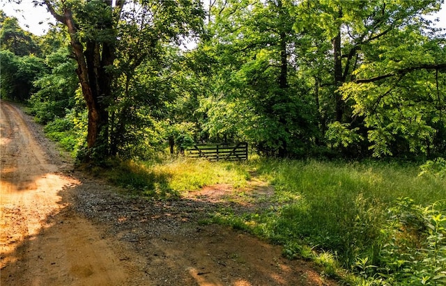 37AC Madison 3370, Witter, AR 72776 - photo 2