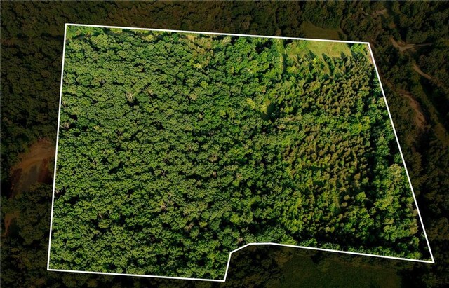 37AC Madison 3370, Witter, AR 72776 - photo 16