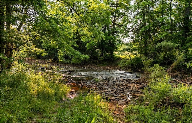 37AC Madison 3370, Witter, AR 72776 - photo 3