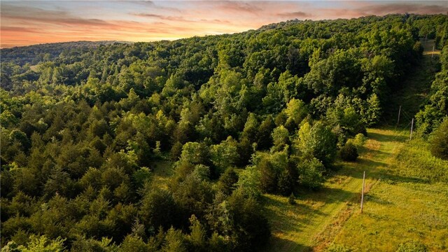 37AC Madison 3370, Witter, AR 72776 - photo 12