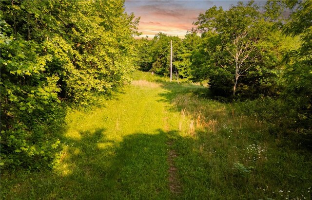 37AC Madison 3370, Witter, AR 72776 - photo 7