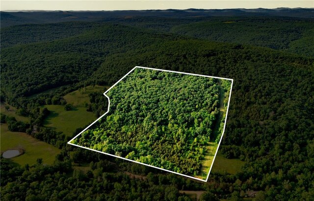 37AC Madison 3370, Witter, AR 72776 - photo 17