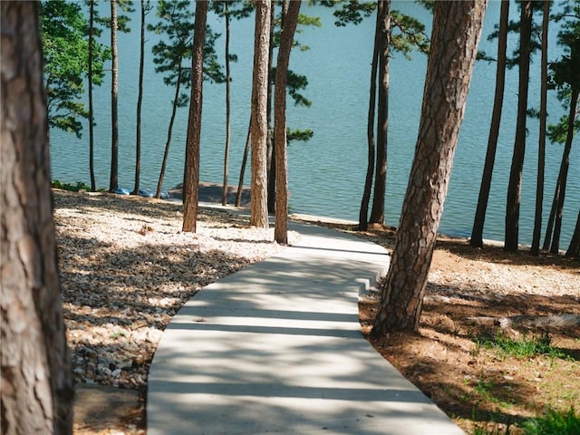 42 Devizis Dr, Bella Vista, AR 72714 - surrounding community featuring a water view