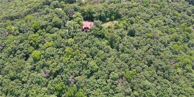 594 County Road 2462, Berryville, AR 72616 - photo 41