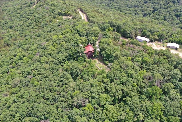 594 County Road 2462, Berryville, AR 72616 - photo 42