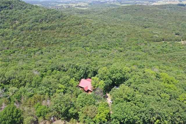 594 County Road 2462, Berryville, AR 72616 - photo 43