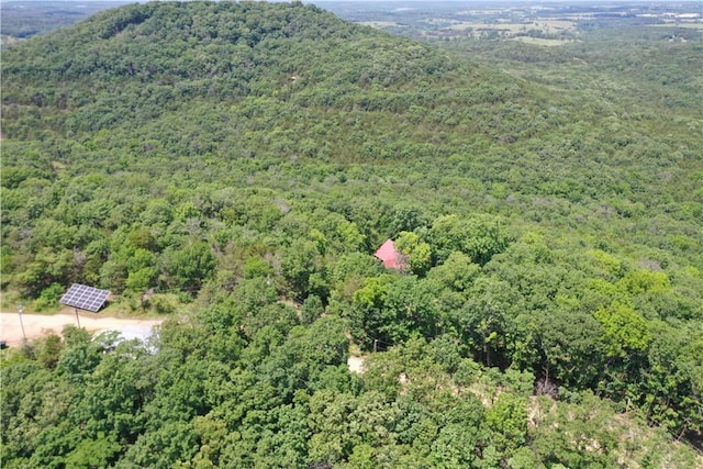 594 County Road 2462, Berryville, AR 72616 - photo 31