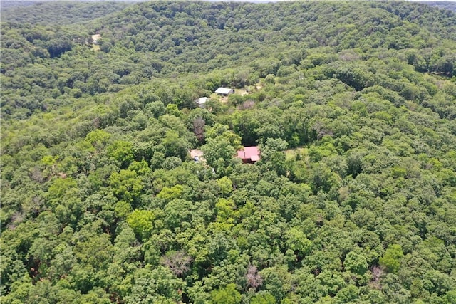 594 County Road 2462, Berryville, AR 72616 - photo 32