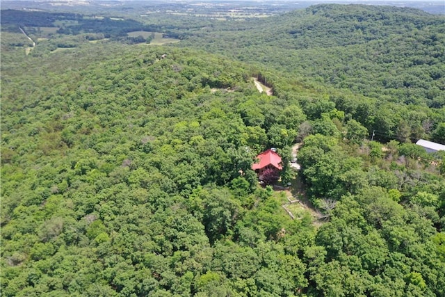 594 County Road 2462, Berryville, AR 72616 - photo 33