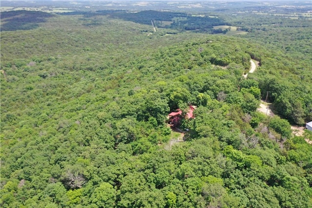 594 County Road 2462, Berryville, AR 72616 - photo 34