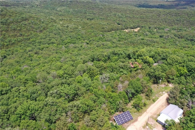 594 County Road 2462, Berryville, AR 72616 - photo 35