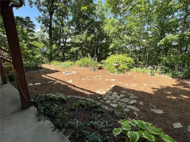 594 County Road 2462, Berryville, AR 72616 - photo 57